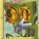 Orchidelirium cover